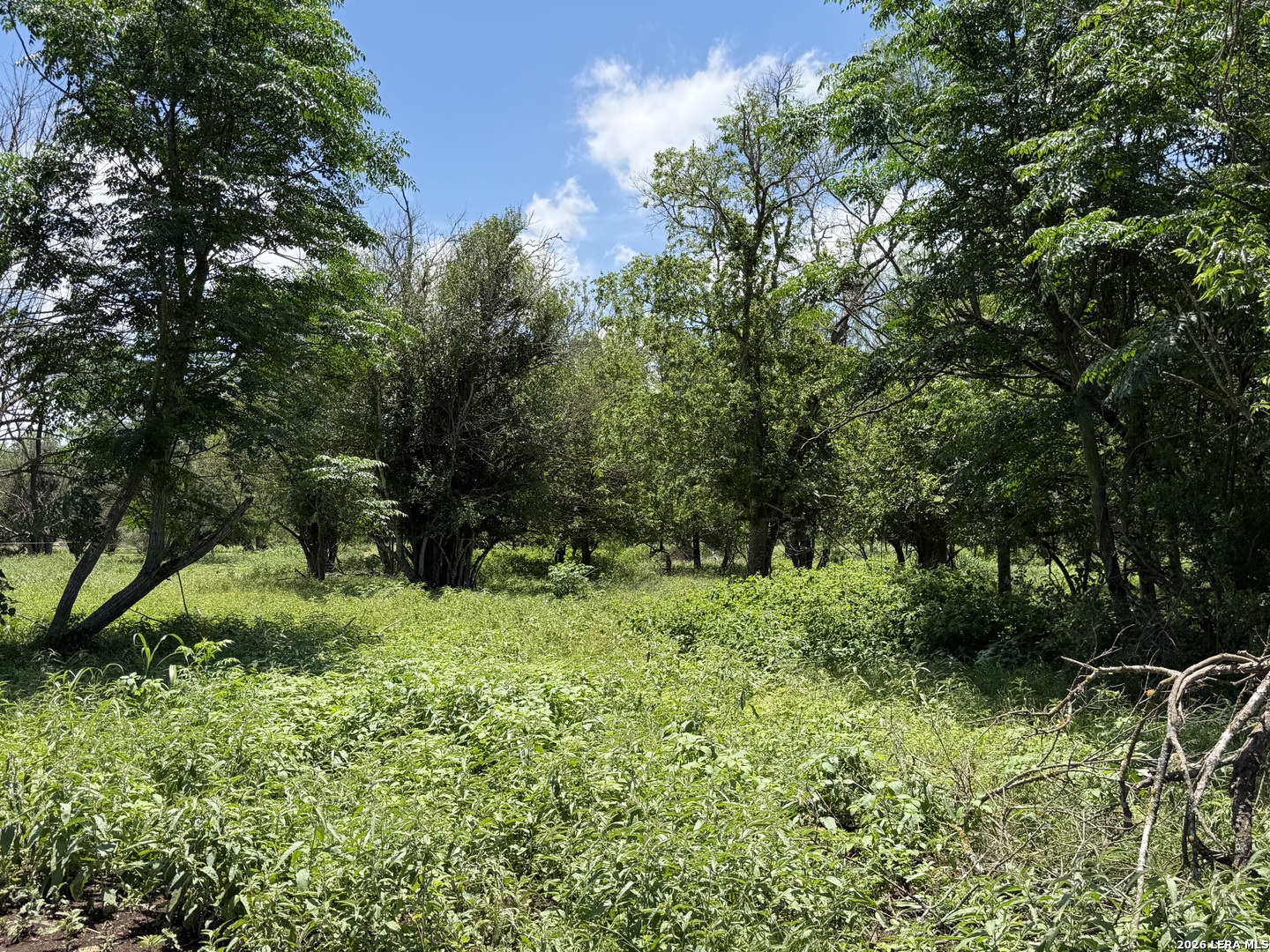 280 Caney Creek Road New Braunfels TX 78130