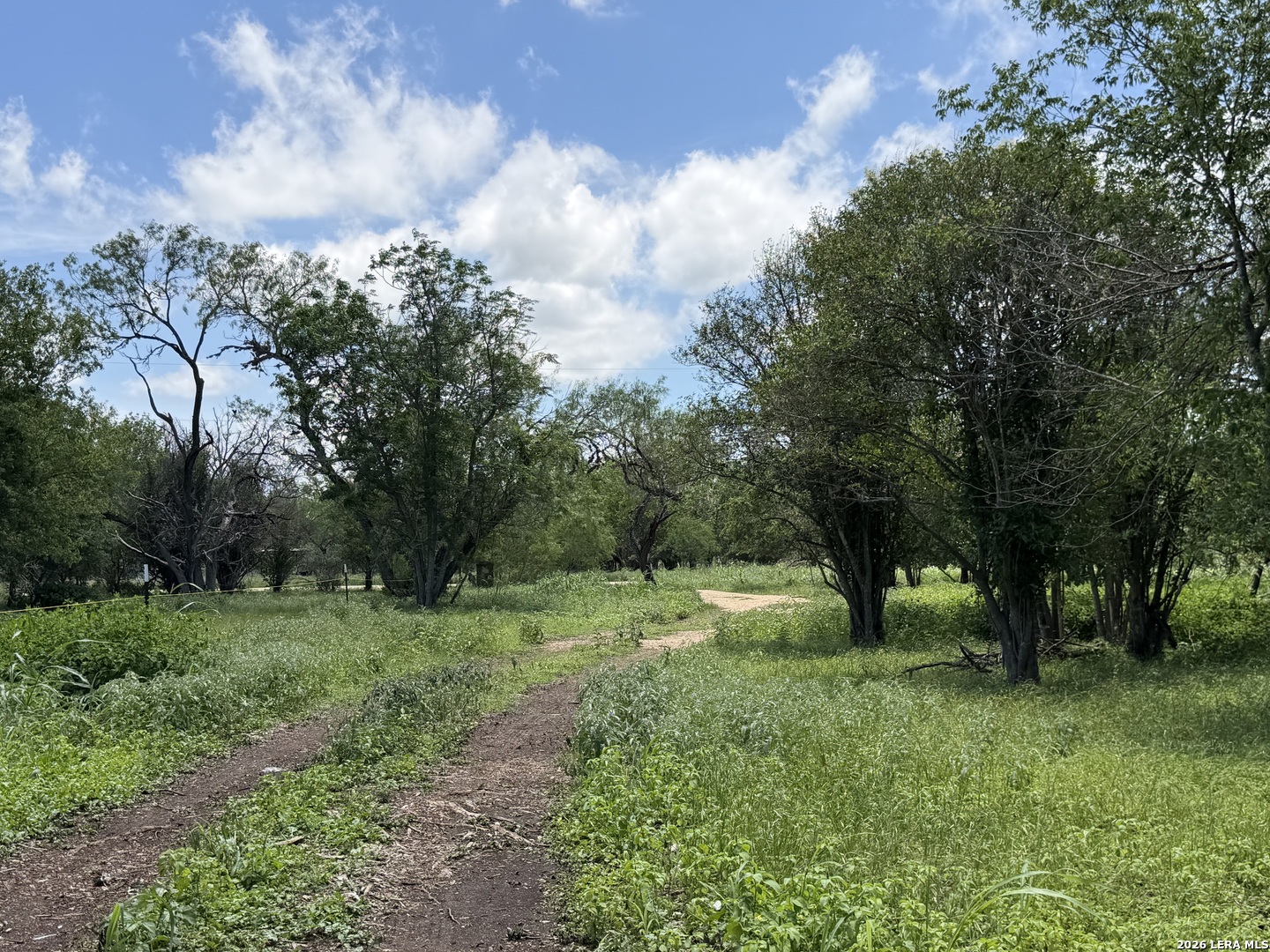 280 Caney Creek Road New Braunfels TX 78130