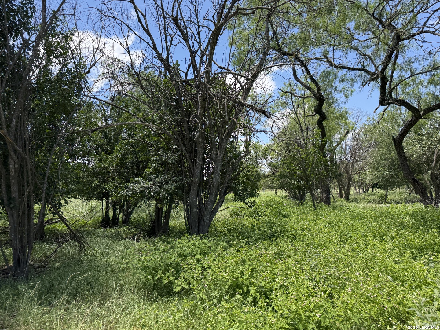 280 Caney Creek Road New Braunfels TX 78130