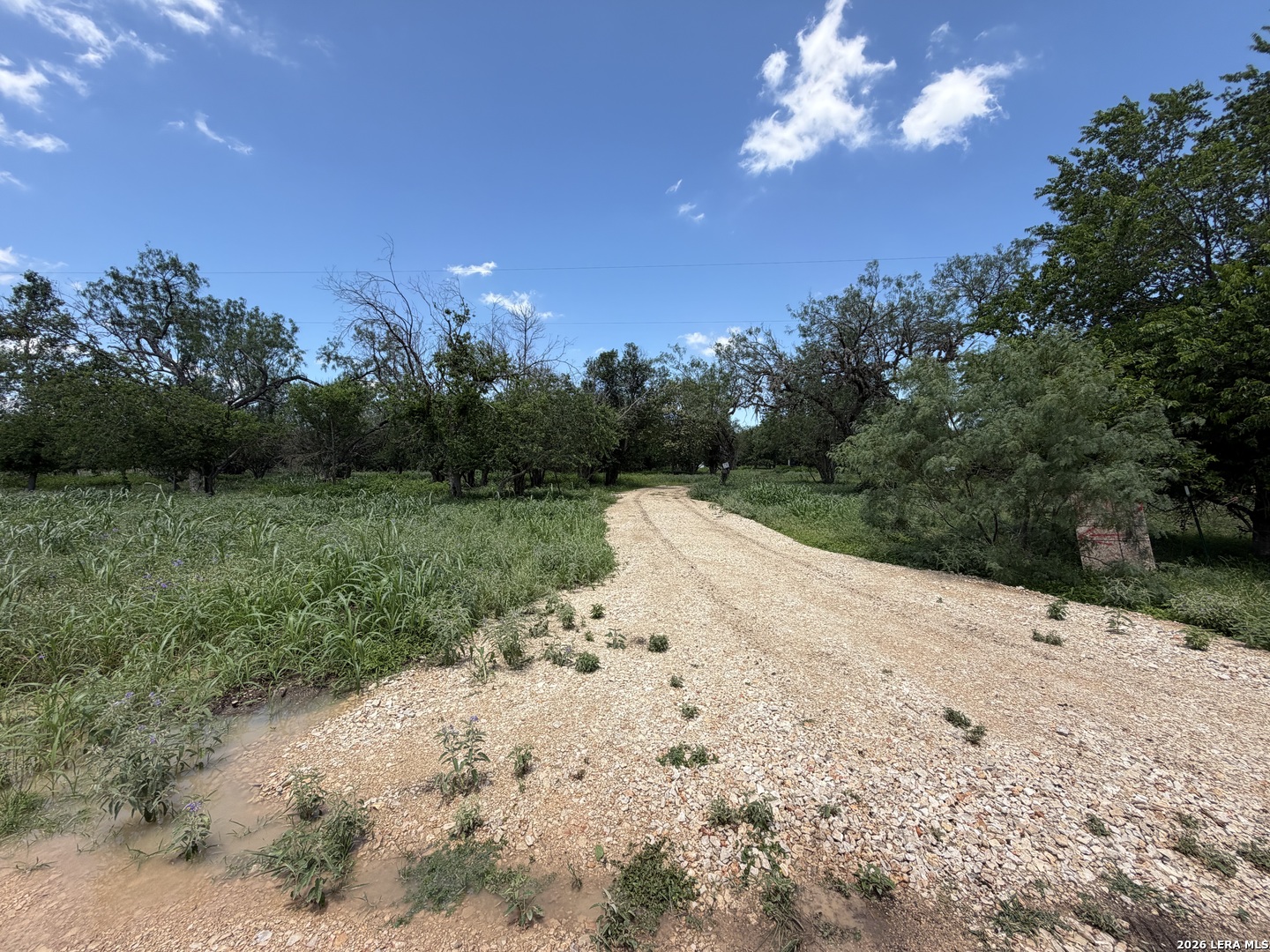 280 Caney Creek Road New Braunfels TX 78130