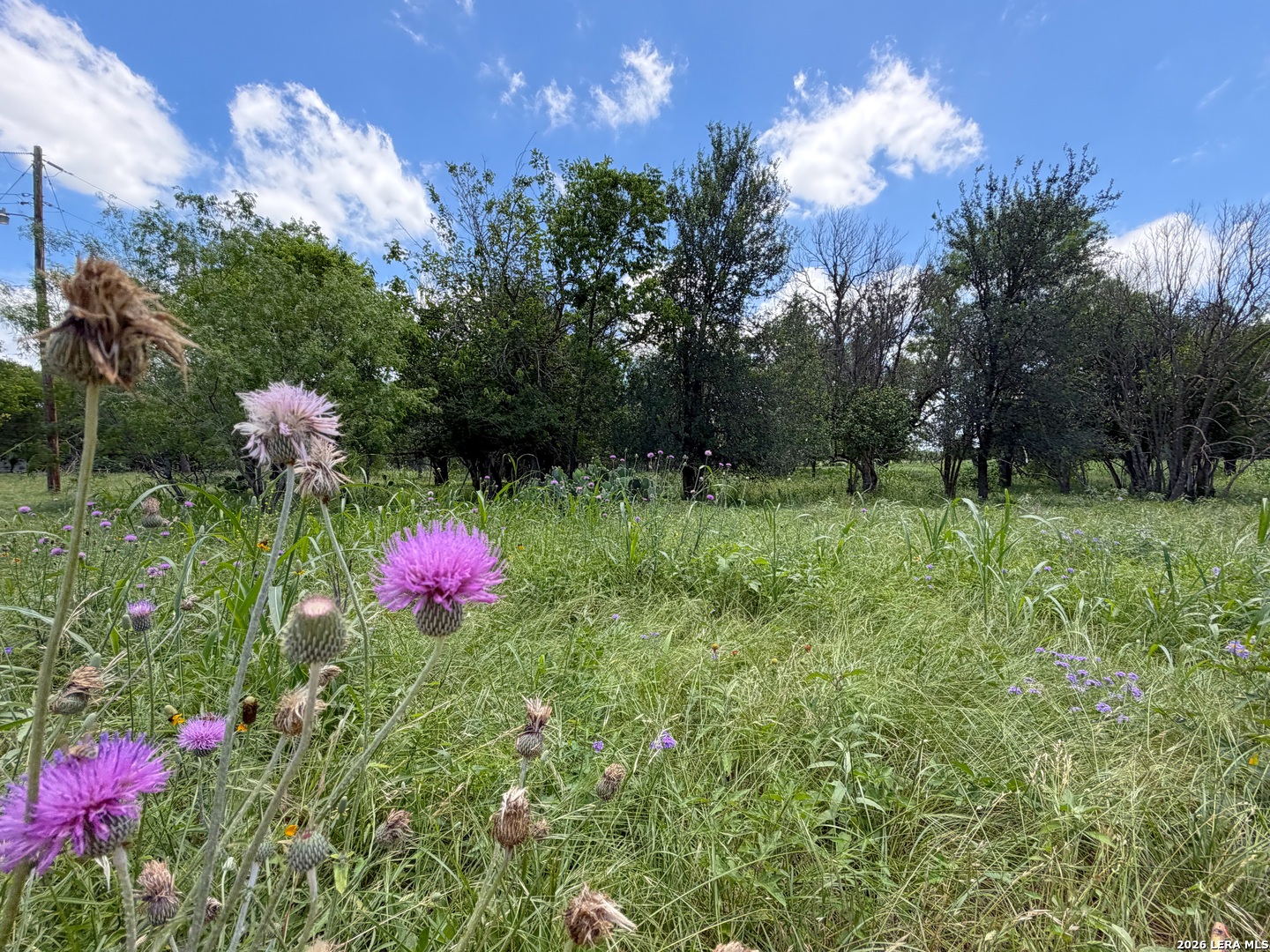 280 Caney Creek Road New Braunfels TX 78130
