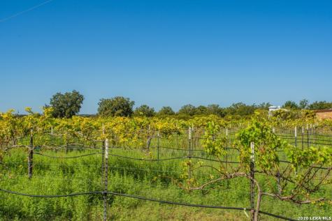 10207 E Us Highway 290 Fredericksburg TX 78624
