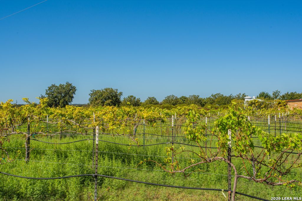 10207 E Us Highway 290 Fredericksburg TX 78624