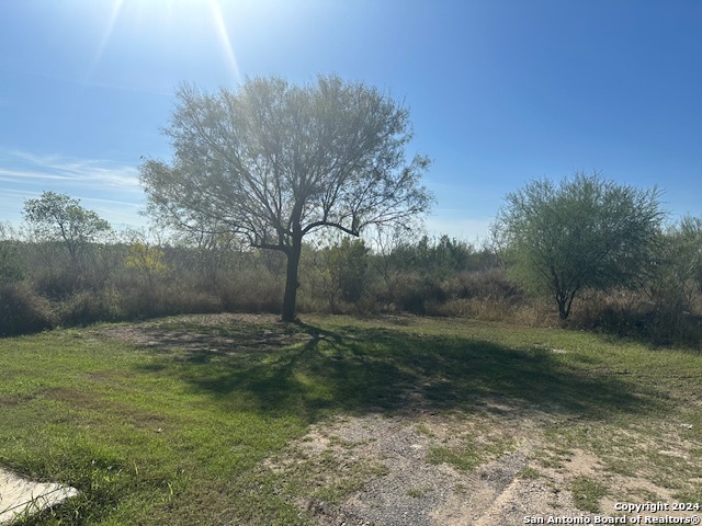 000 Palm/olive Street Jourdanton TX 78026