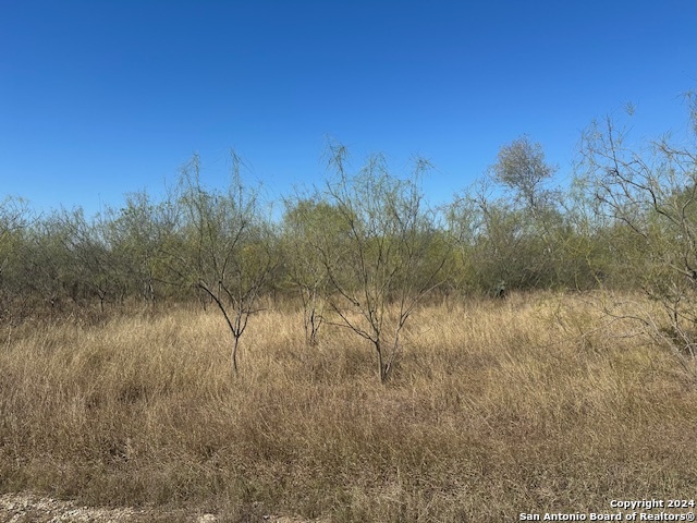 000 Palm/olive Street Jourdanton TX 78026