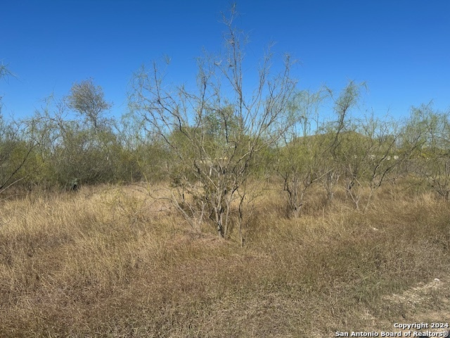 000 Palm/olive Street Jourdanton TX 78026