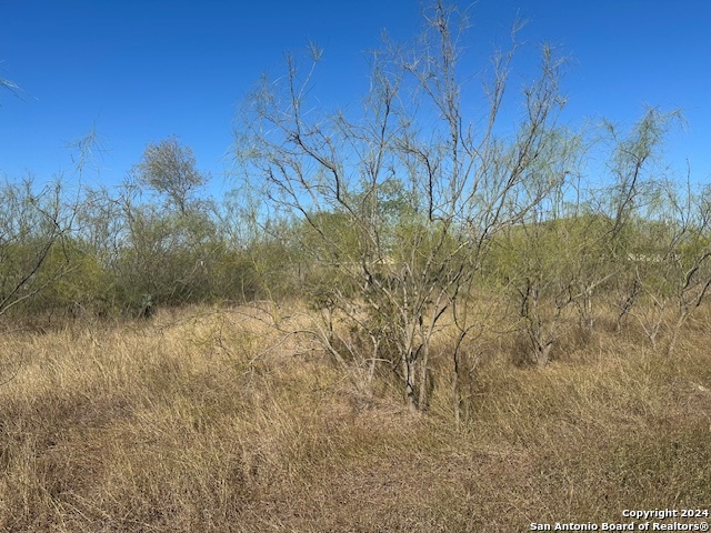 000 Palm/olive Street Jourdanton TX 78026