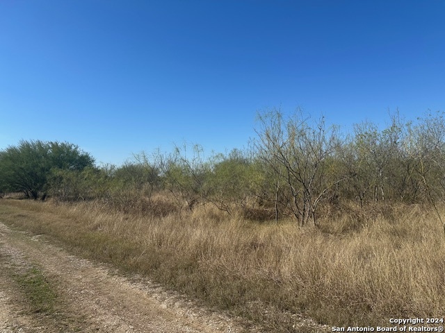 000 Palm/olive Street Jourdanton TX 78026