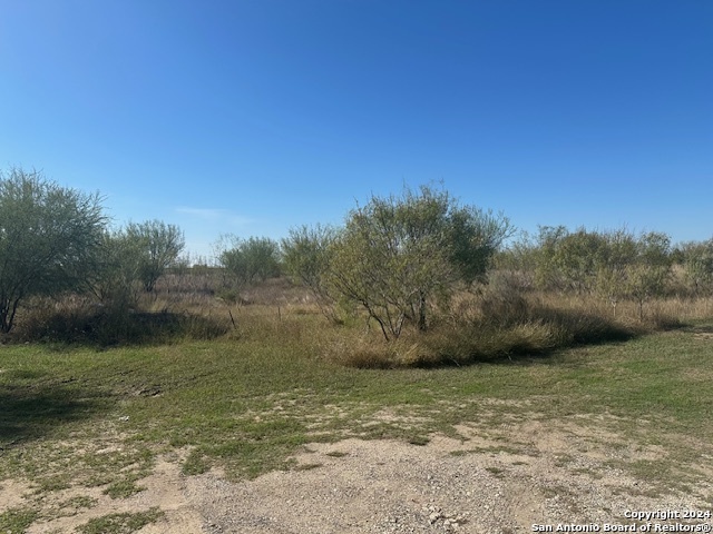 000 Palm/olive Street Jourdanton TX 78026