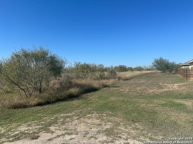 000 Palm/olive Street Jourdanton TX 78026