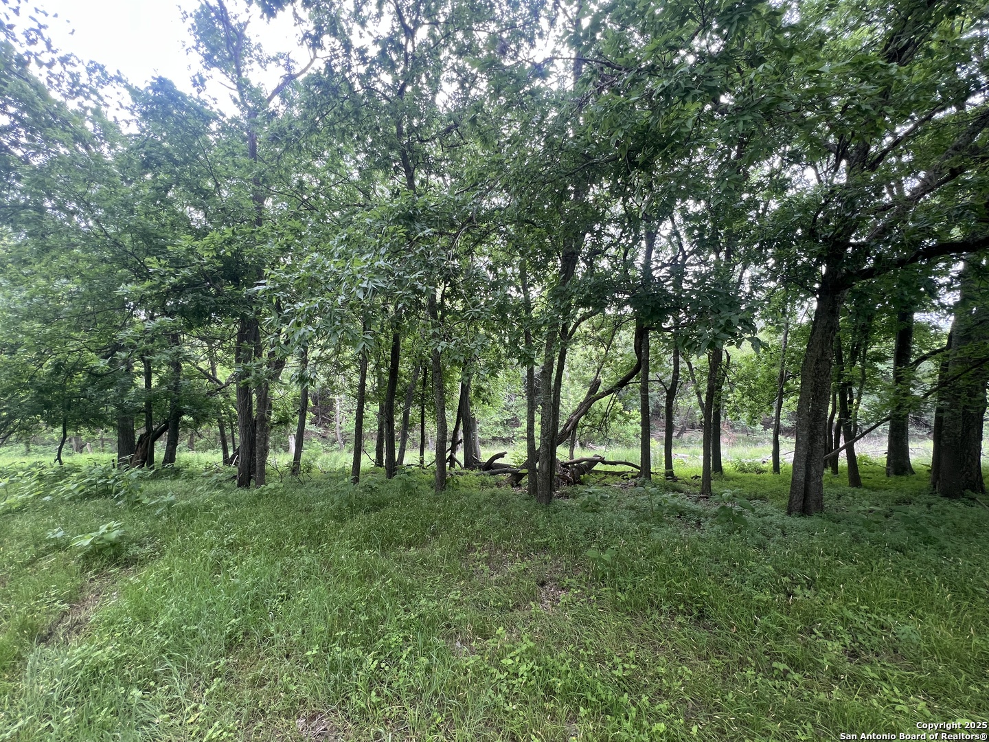 0 School Street & San Antonio Boerne TX 78006