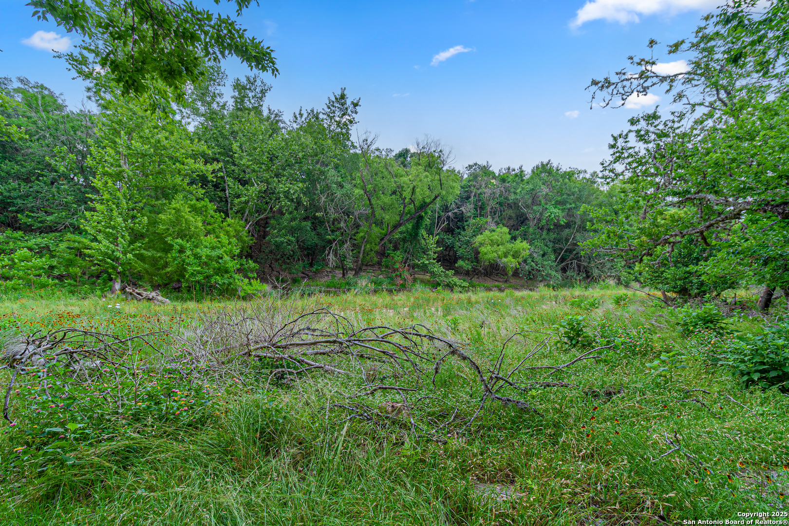 0 School Street & San Antonio Boerne TX 78006