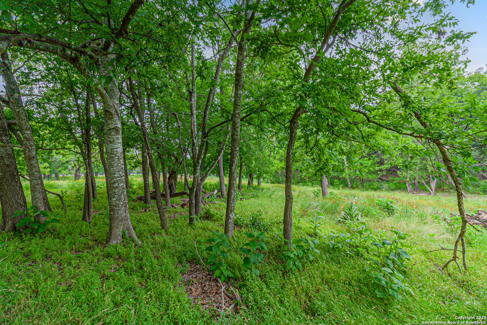 0 School Street & San Antonio Boerne TX 78006