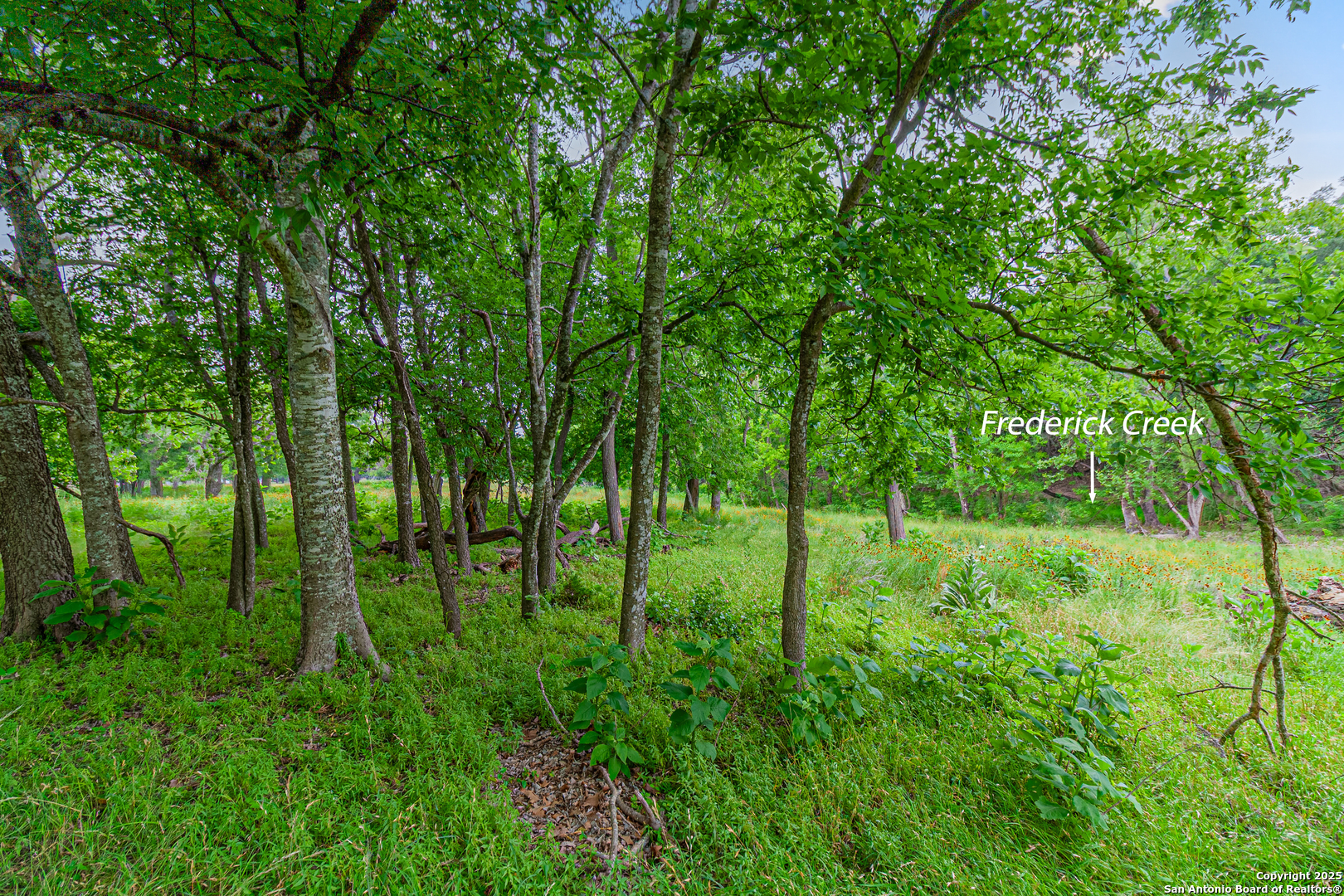 0 School Street & San Antonio Boerne TX 78006