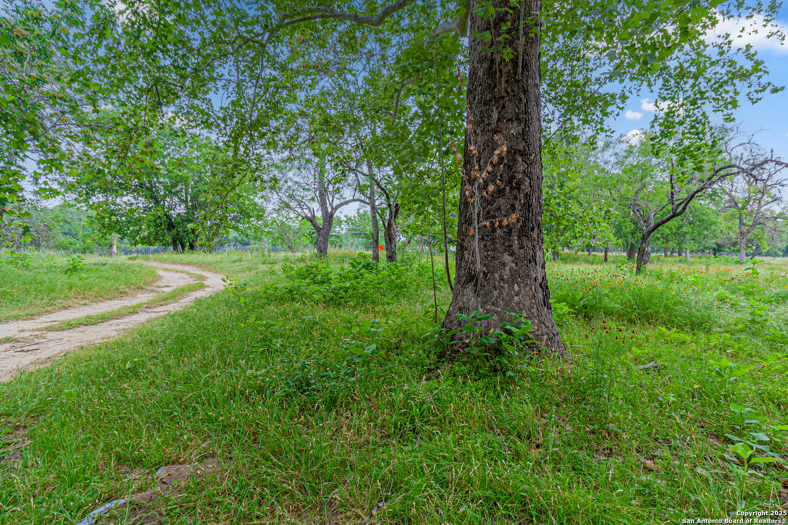 0 School Street & San Antonio Boerne TX 78006