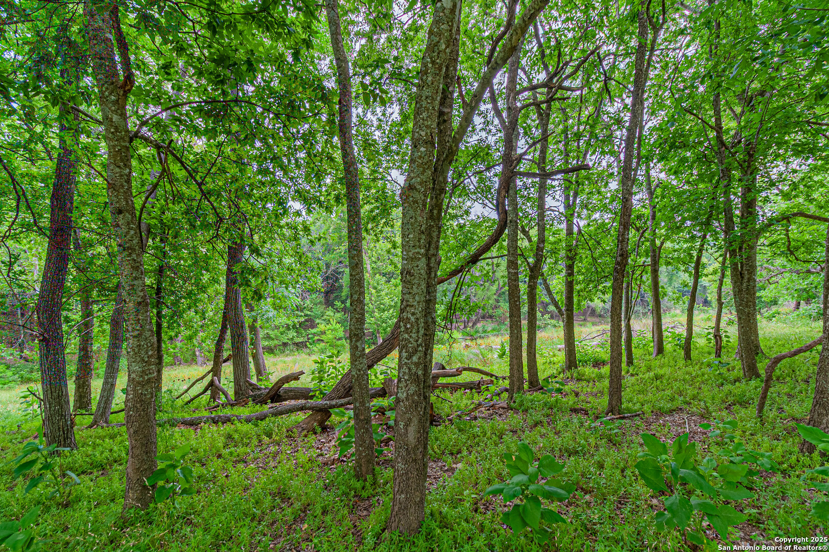 0 School Street & San Antonio Boerne TX 78006