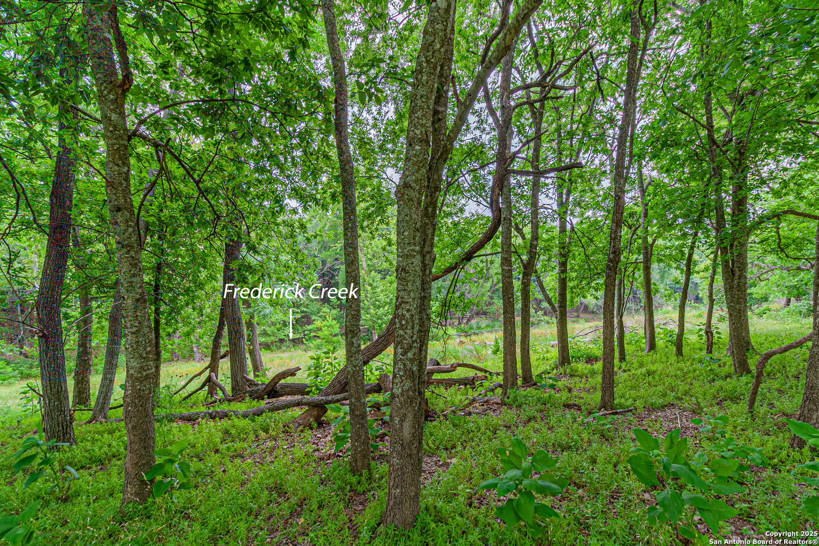 0 School Street & San Antonio Boerne TX 78006