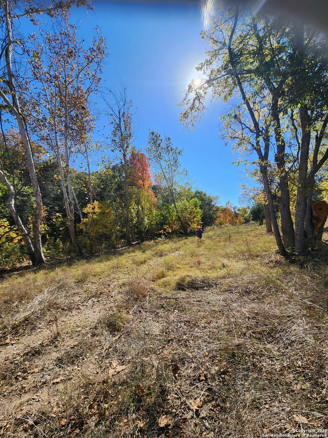 0 School Street & San Antonio Boerne TX 78006