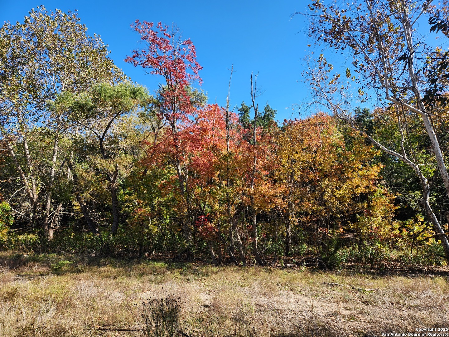 0 School Street & San Antonio Boerne TX 78006