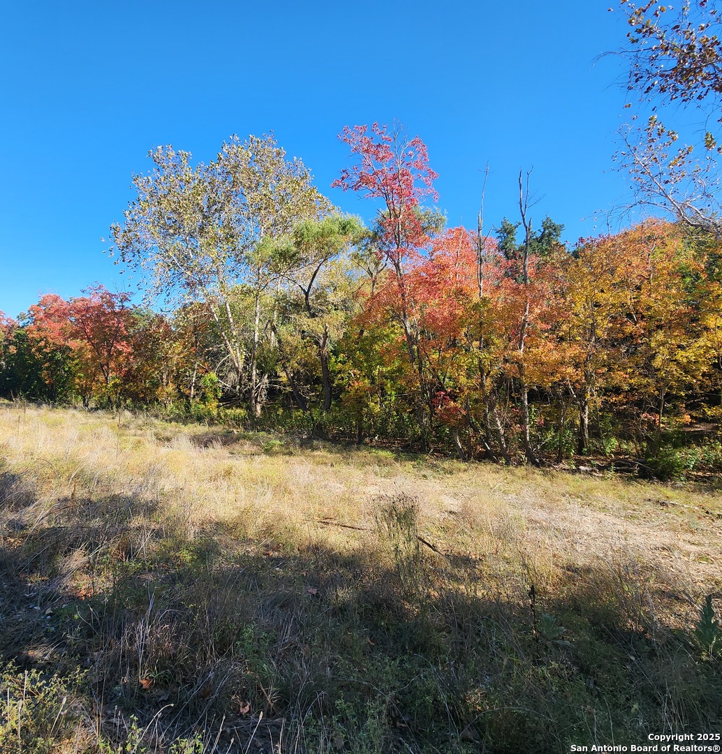 0 School Street & San Antonio Boerne TX 78006