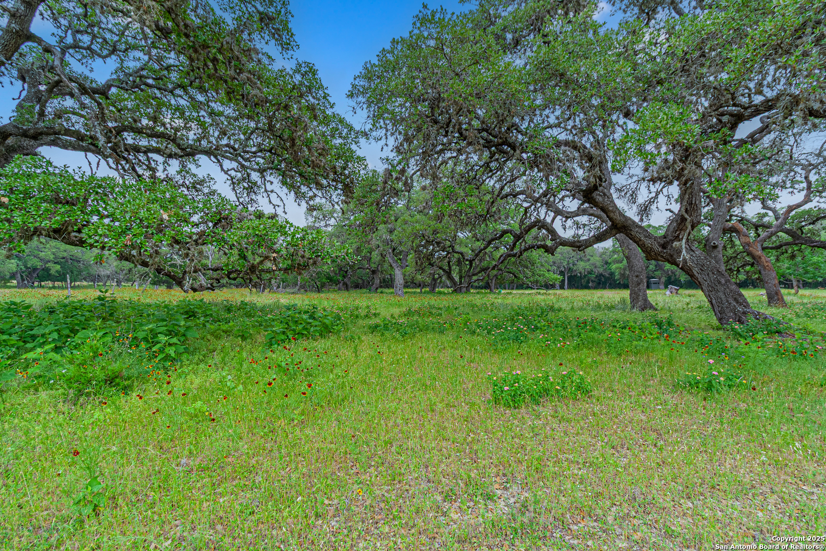 0 School Street & San Antonio Boerne TX 78006