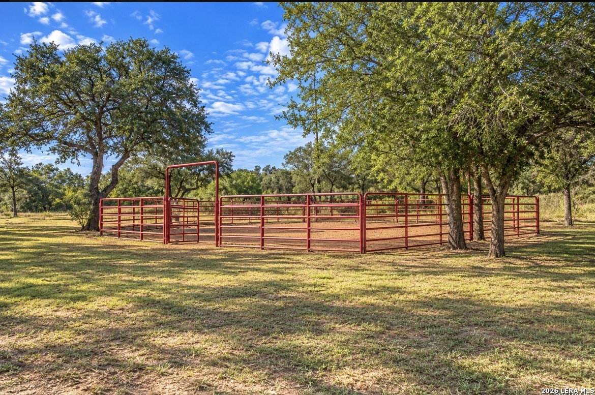 14018 Wild Cat Lair San Antonio TX 78253