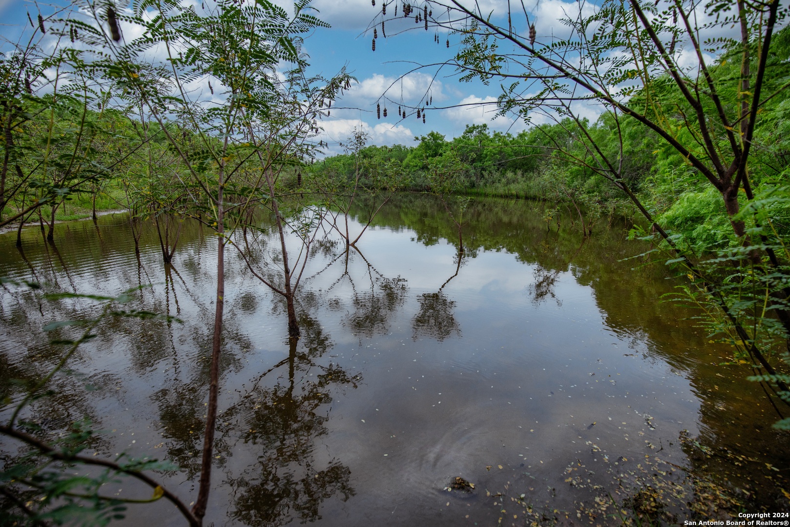 000 La Vernia Street Adkins TX 78101