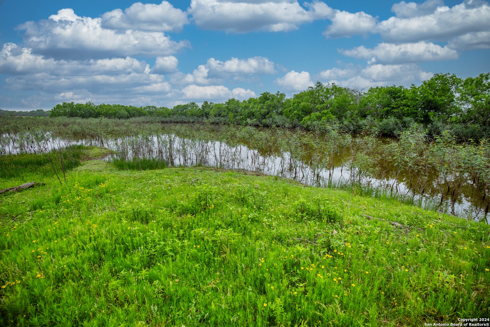 000 La Vernia Street Adkins TX 78101