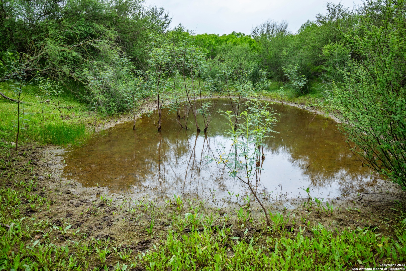 000 La Vernia Street Adkins TX 78101