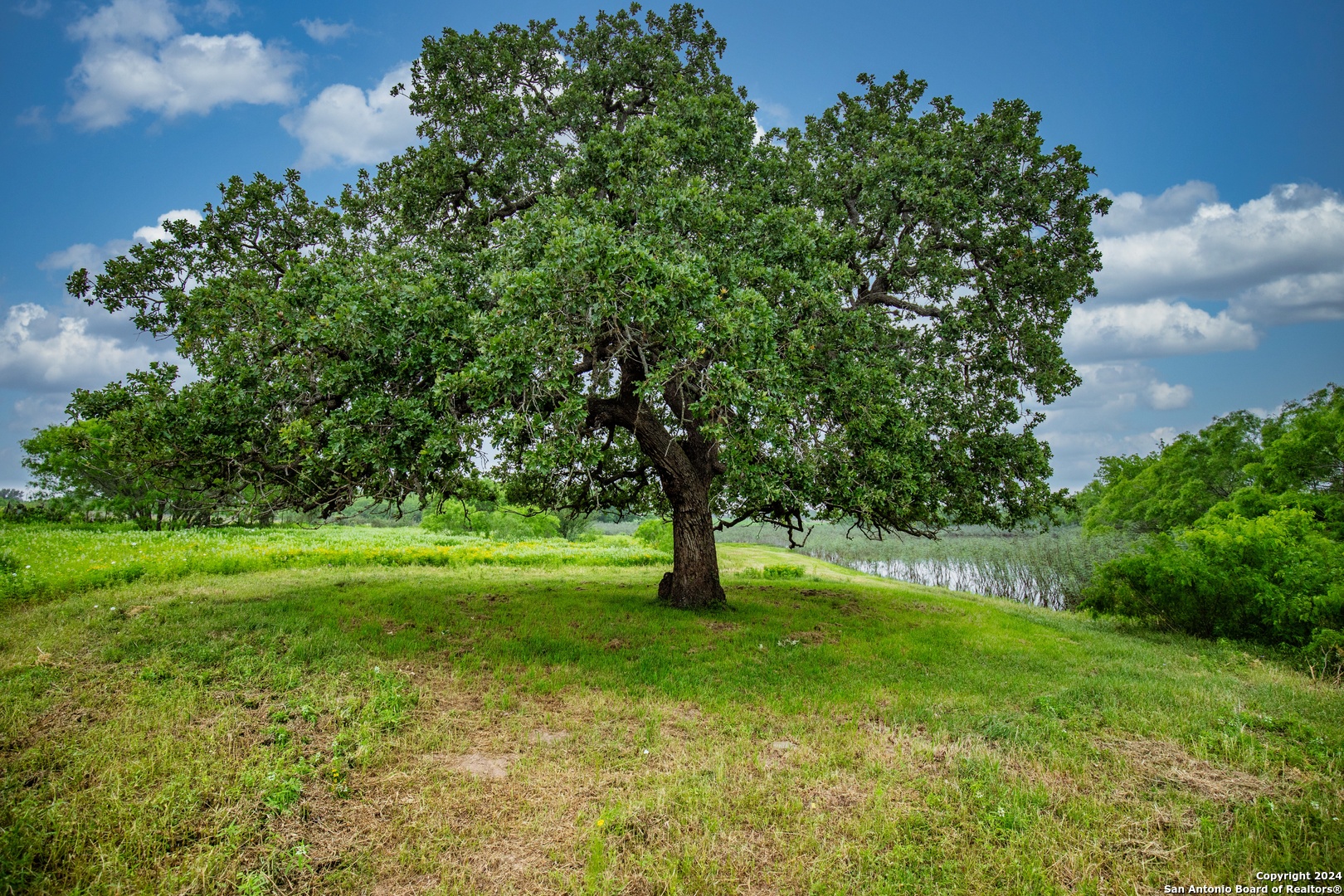 000 La Vernia Street Adkins TX 78101