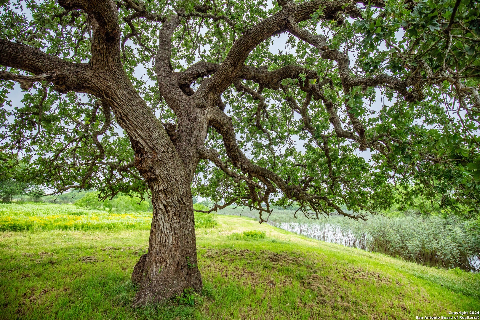 000 La Vernia Street Adkins TX 78101