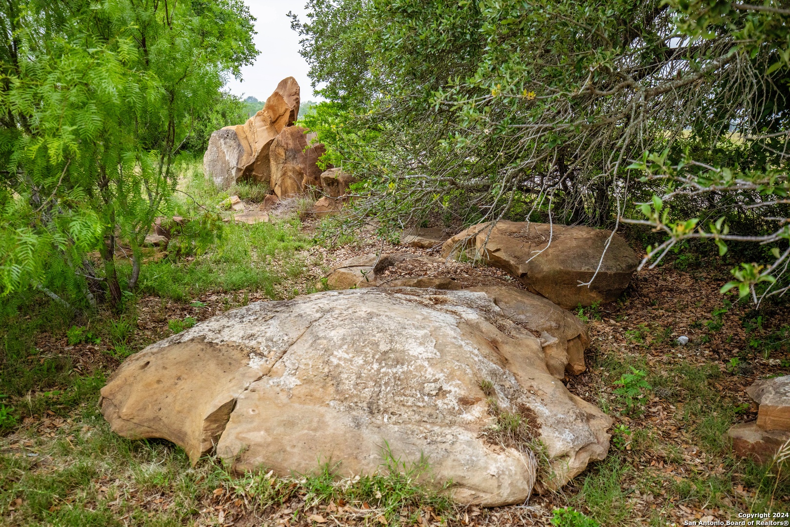 000 La Vernia Street Adkins TX 78101