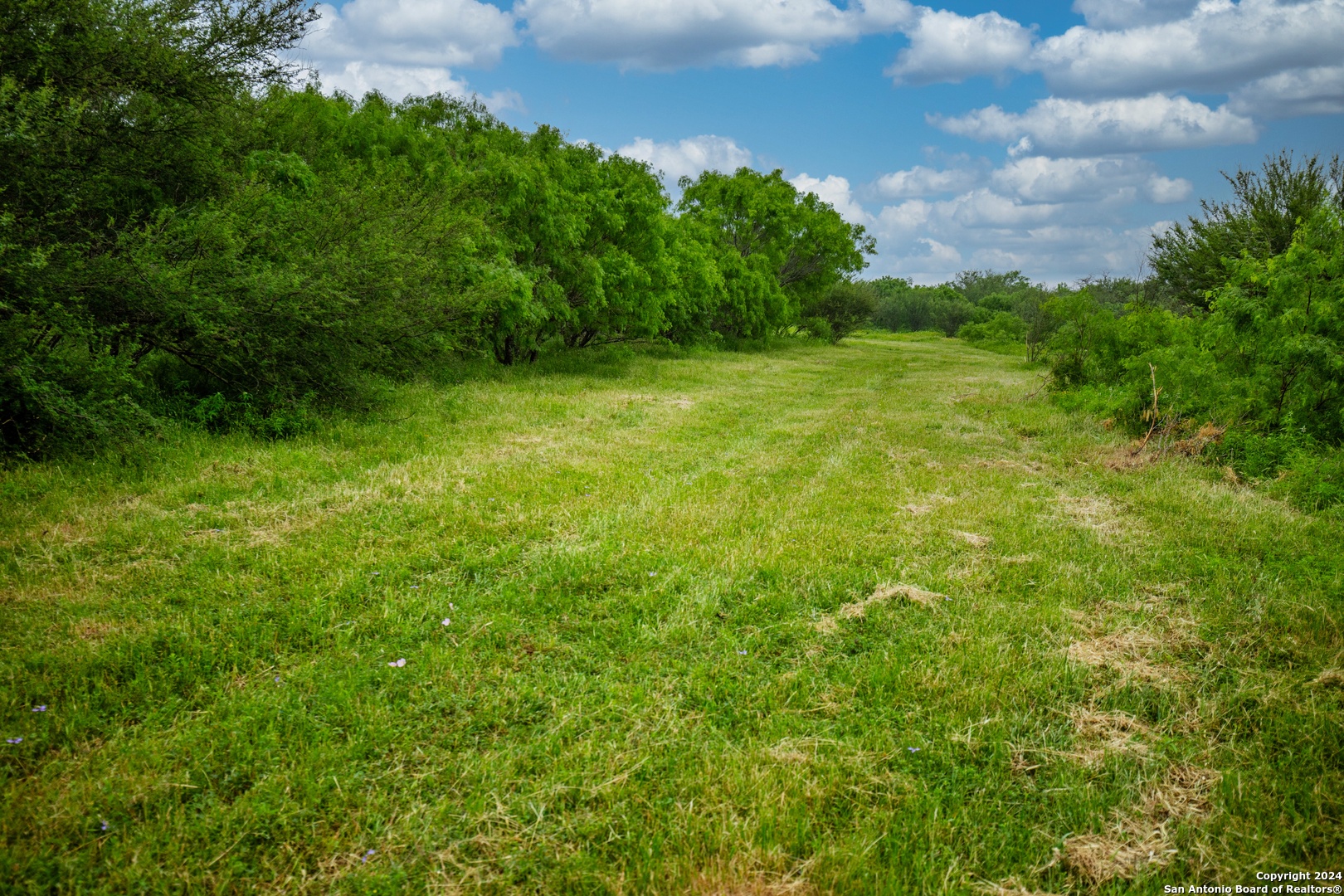 000 La Vernia Street Adkins TX 78101