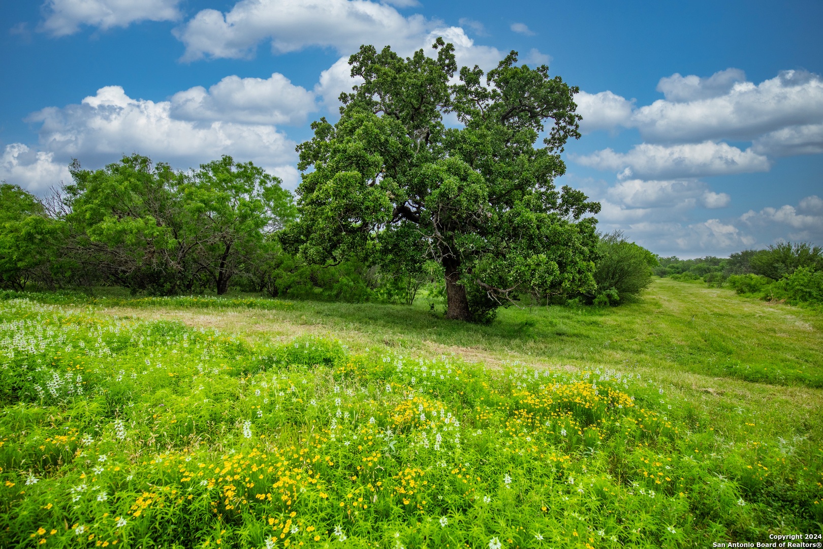 000 La Vernia Street Adkins TX 78101