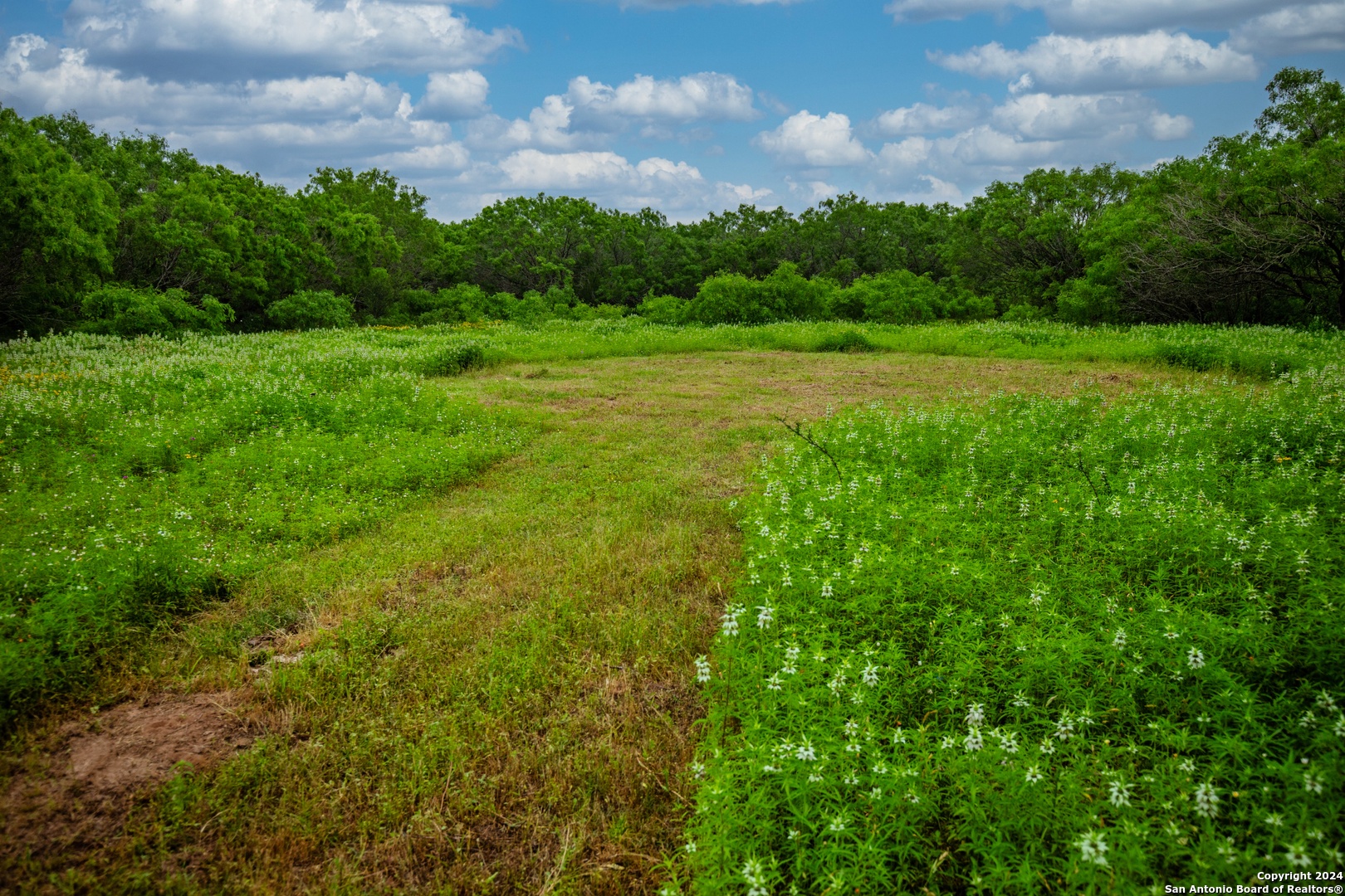 000 La Vernia Street Adkins TX 78101