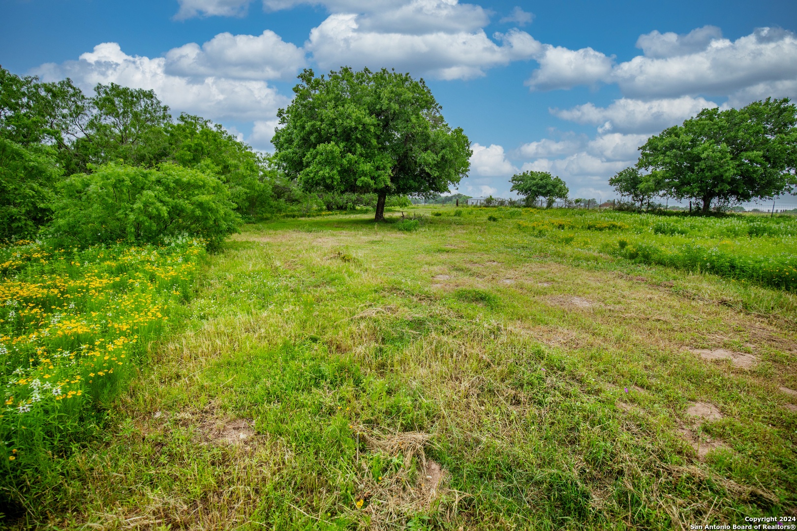 000 La Vernia Street Adkins TX 78101