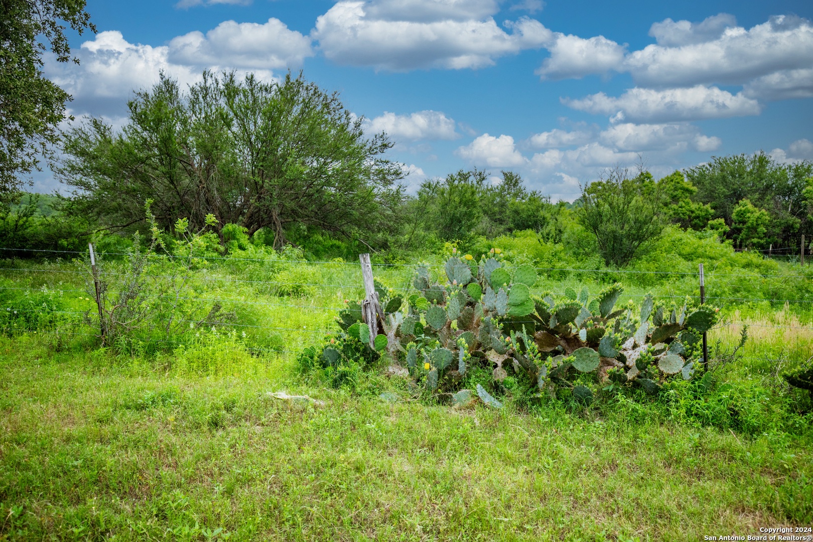 000 La Vernia Street Adkins TX 78101