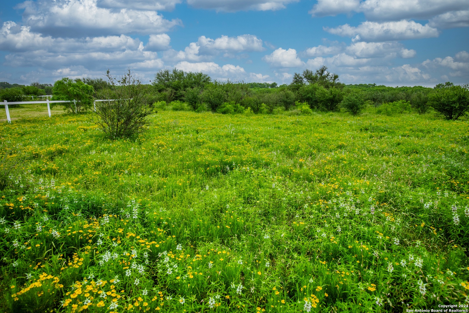 000 La Vernia Street Adkins TX 78101