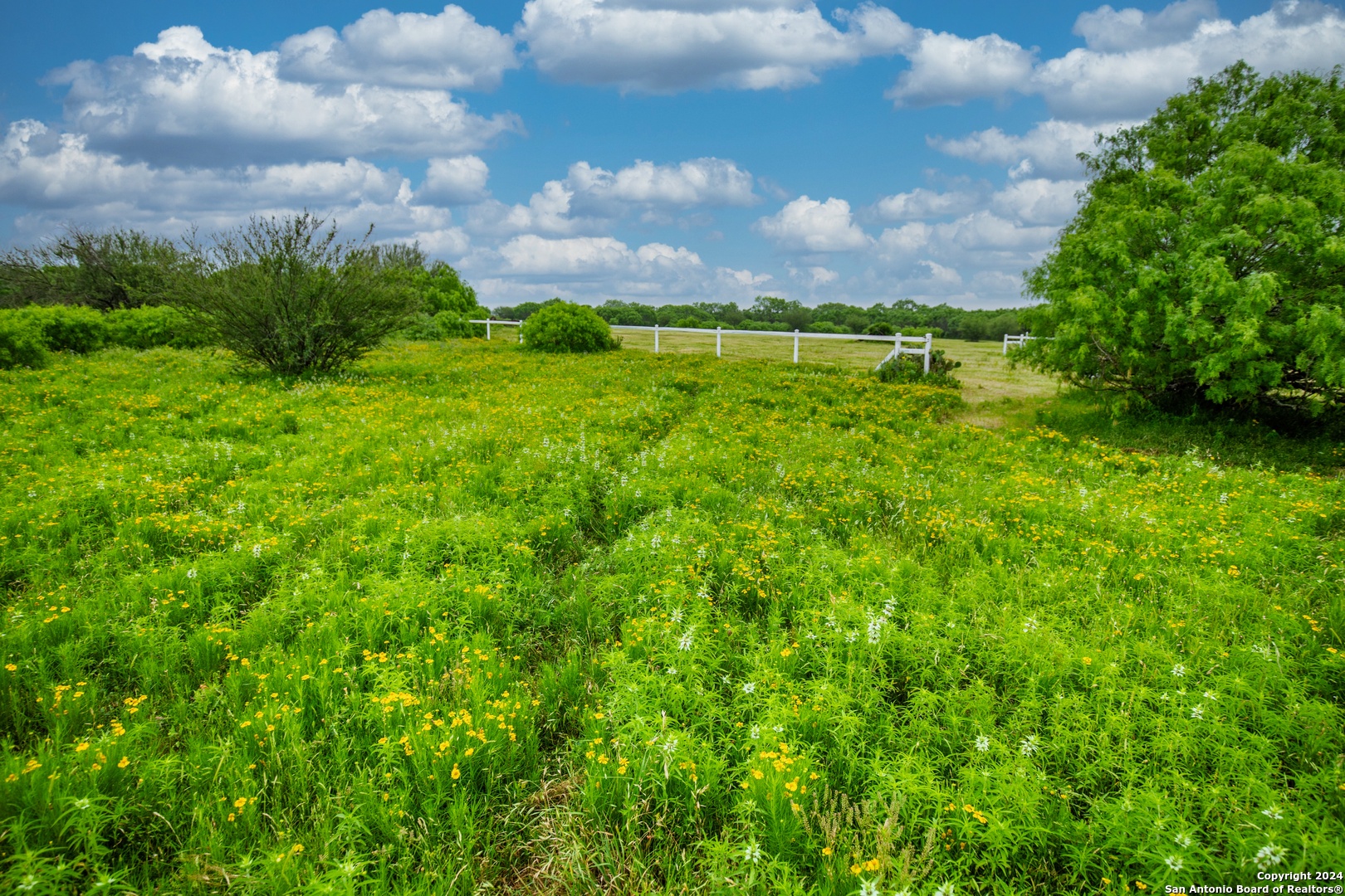 000 La Vernia Street Adkins TX 78101