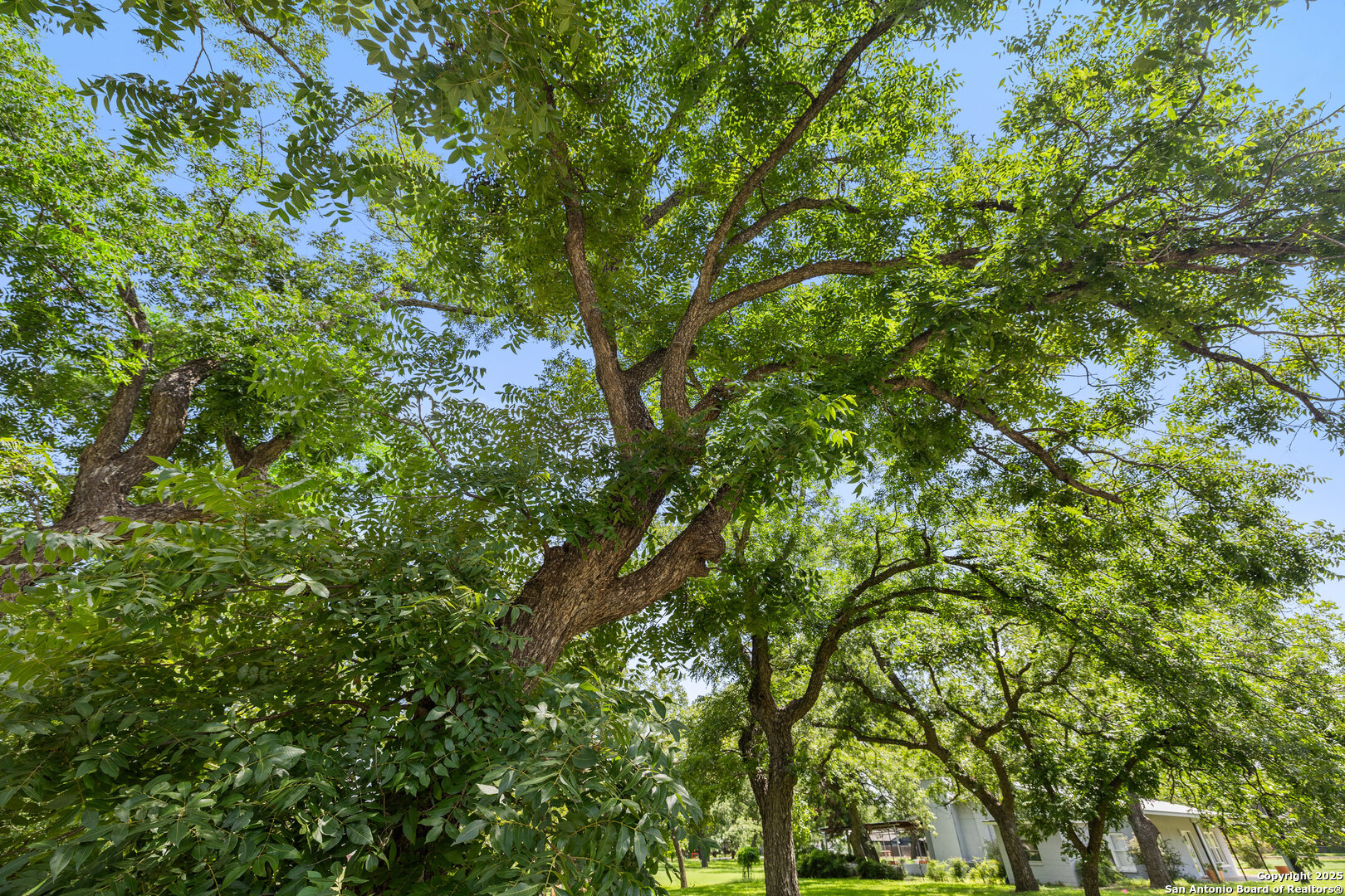 404 Nugent Johnson City TX 78636