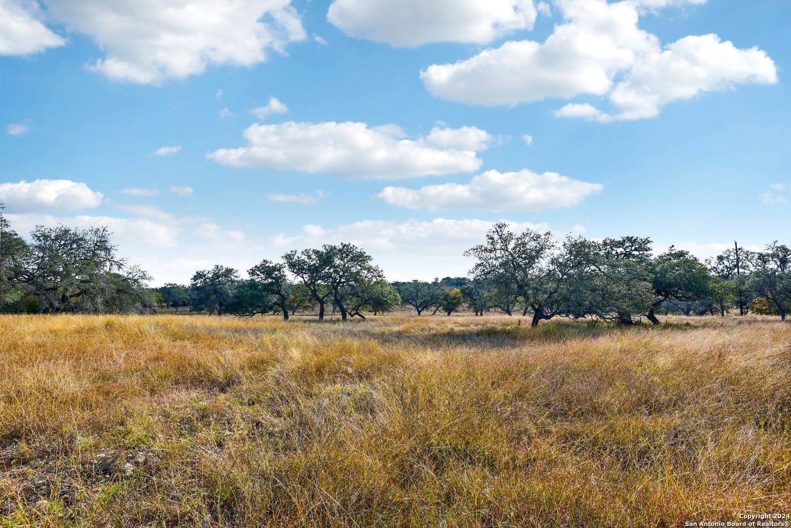 942/944 Fm 3351 Kendalia TX 78027