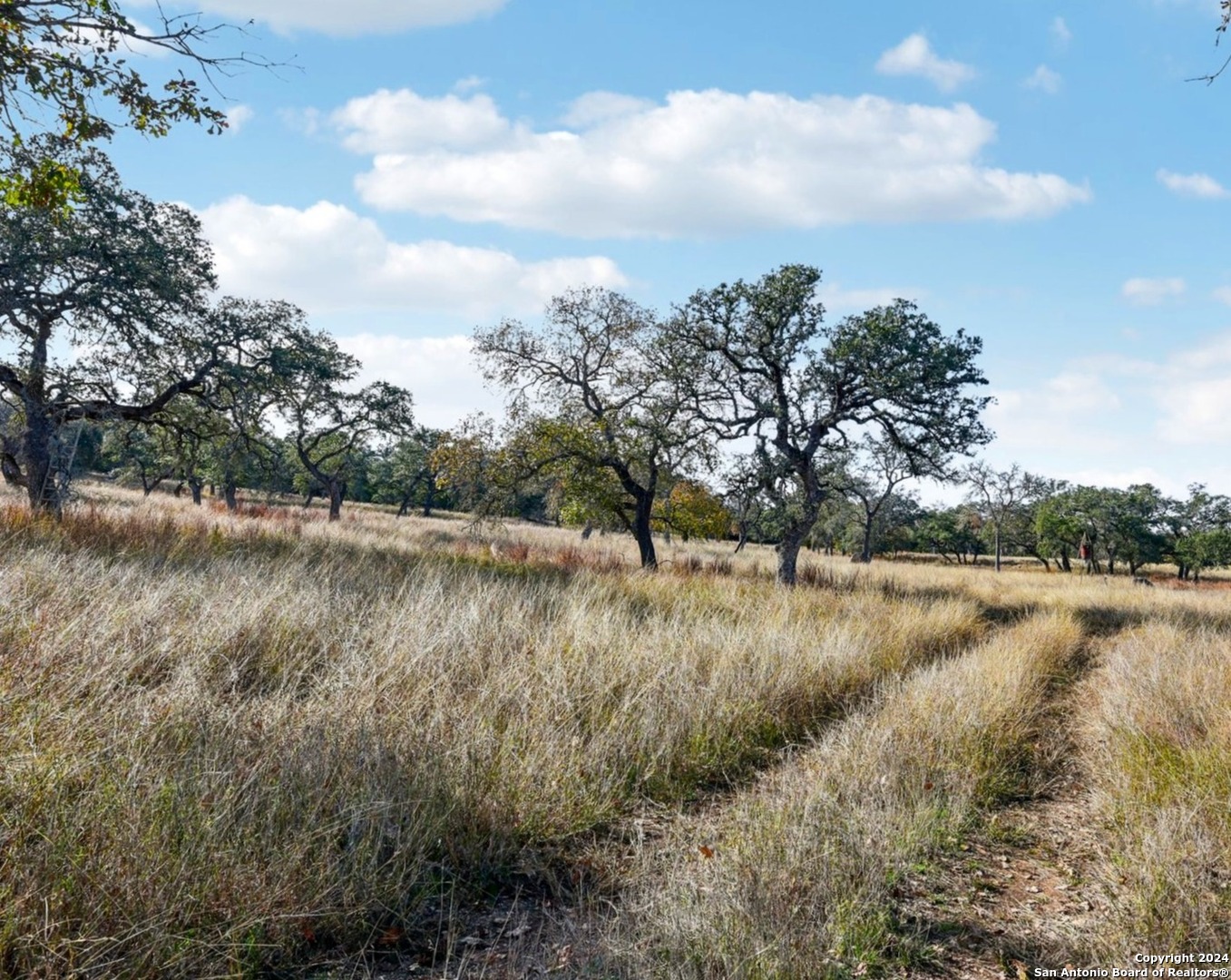 942/944 Fm 3351 Kendalia TX 78027