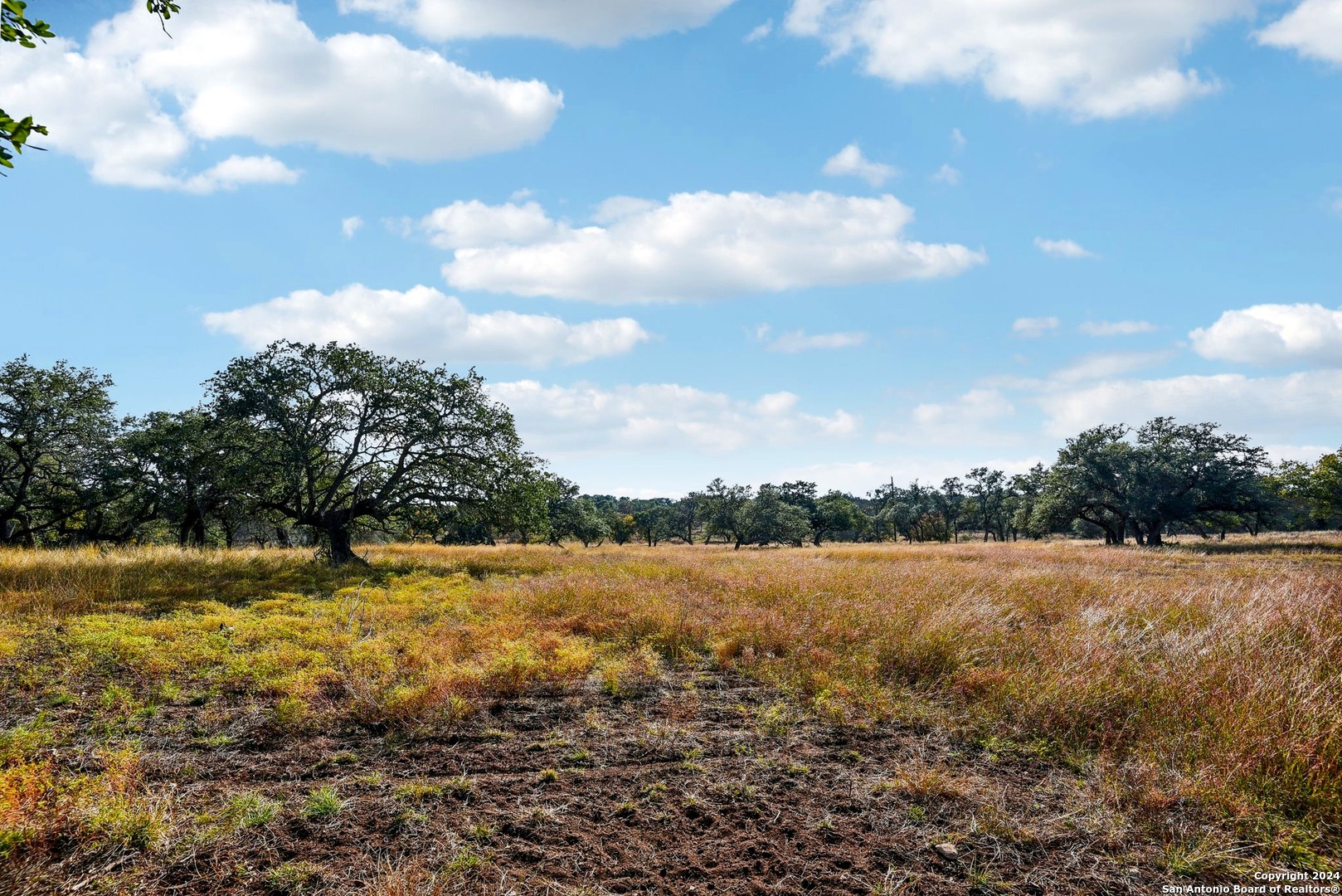 942/944 Fm 3351 Kendalia TX 78027