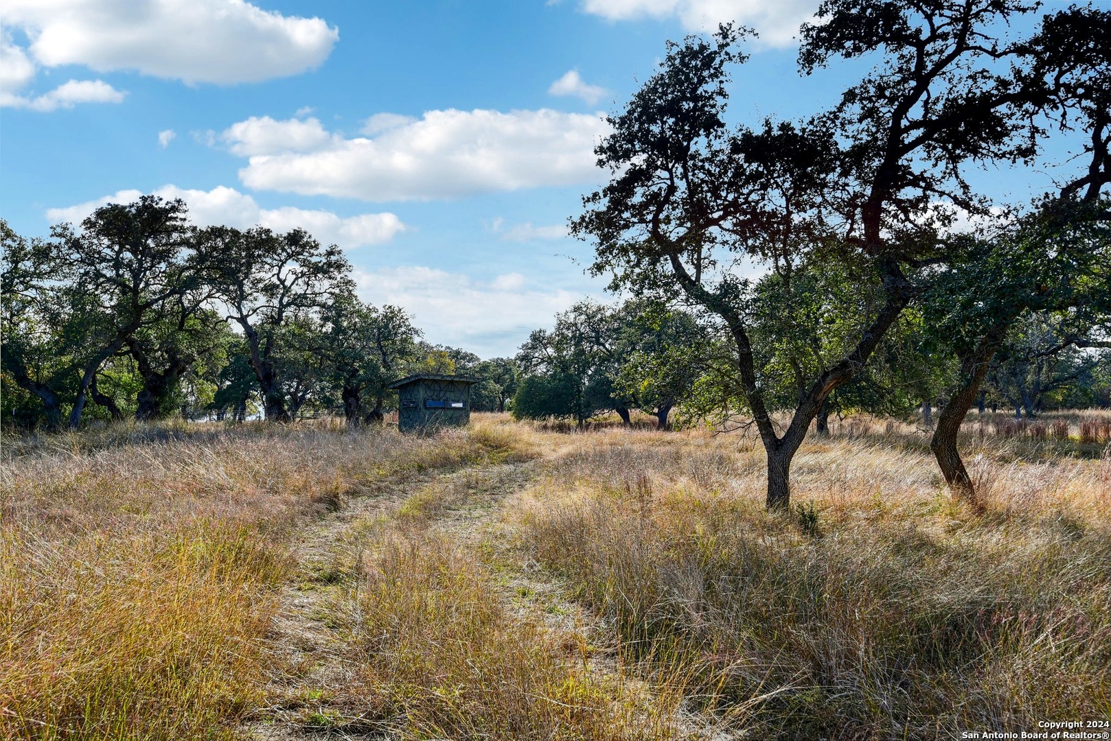 942/944 Fm 3351 Kendalia TX 78027