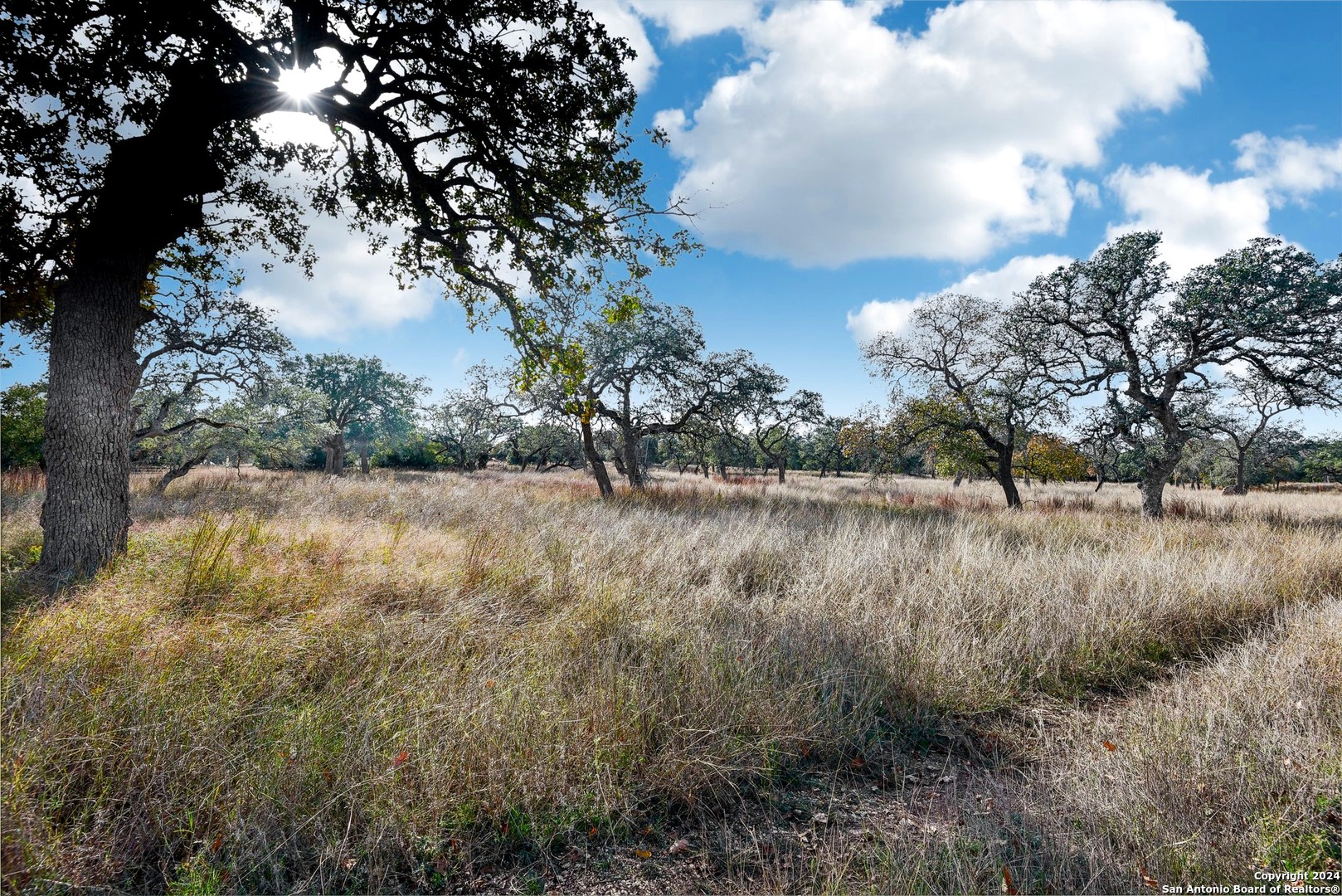 942/944 Fm 3351 Kendalia TX 78027