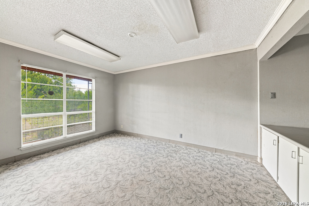 1131 Babcock Road San Antonio TX 78201