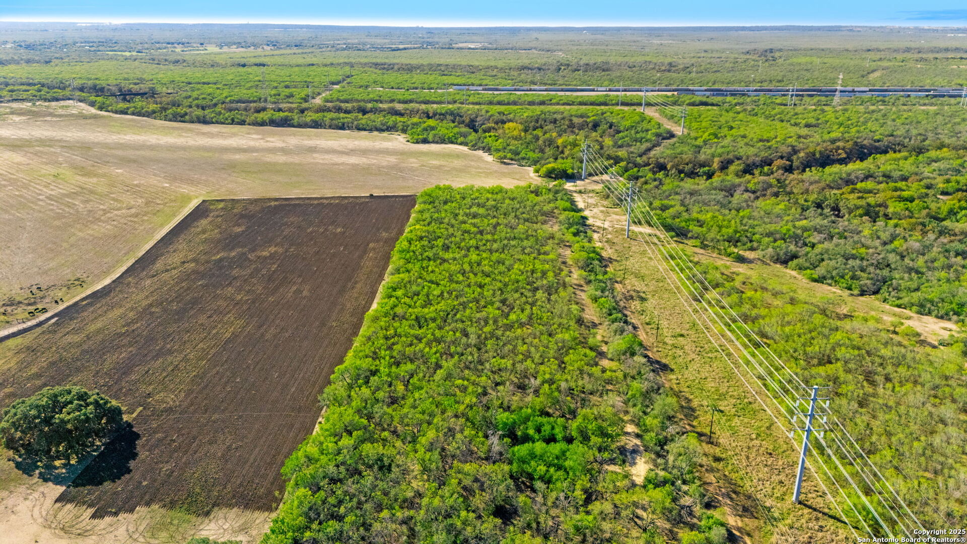 596 Mauermann San Antonio TX 78224