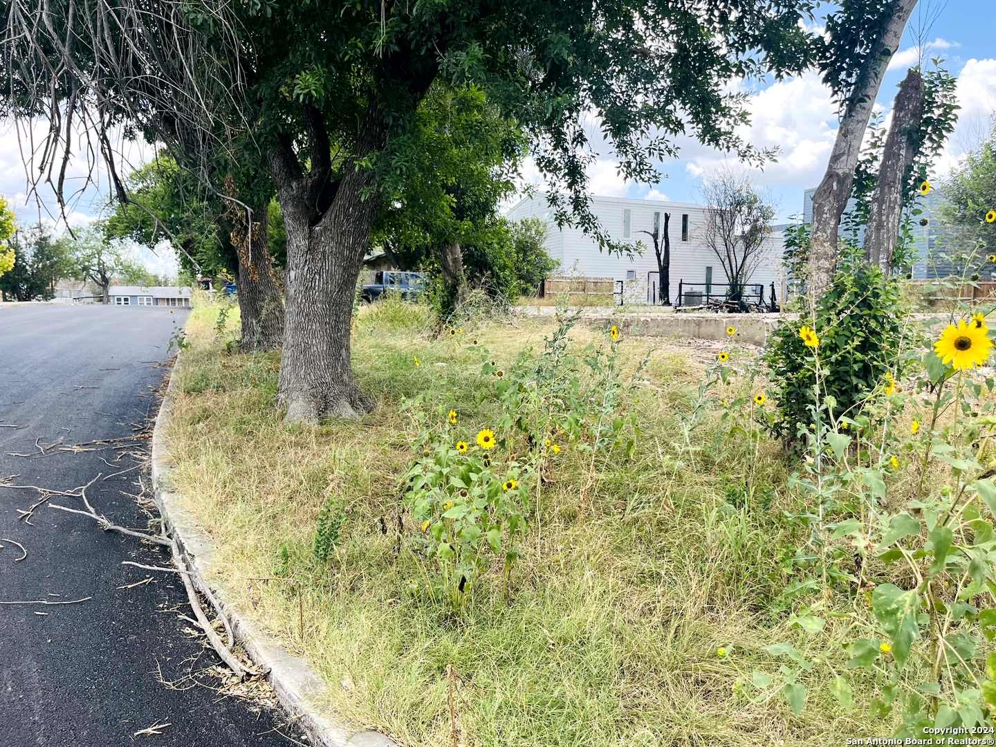 127 Cloudhaven Drive San Antonio TX 78209