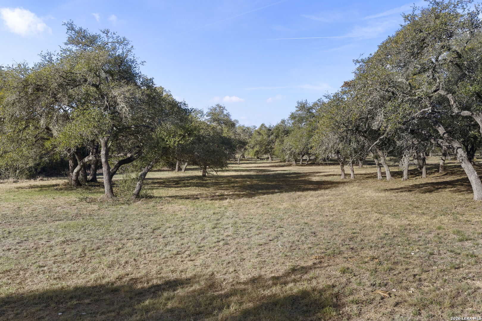 6093 Fm 311 Spring Branch TX 78070
