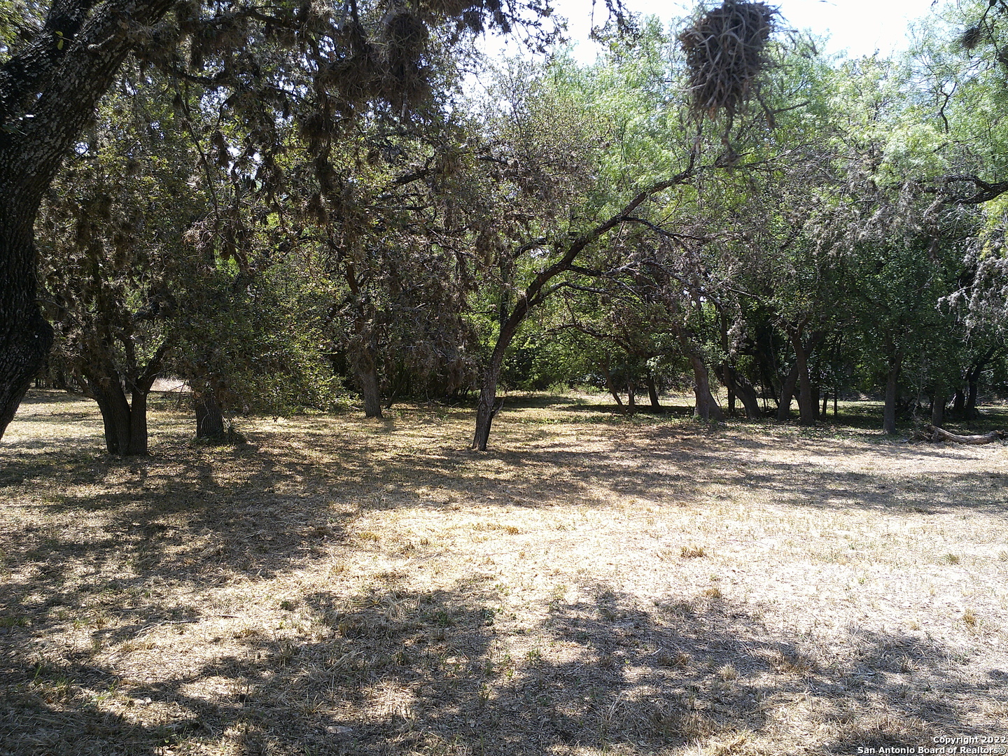 7235 Low Bid Lane San Antonio TX 78250